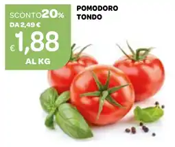 Ekom Pomodoro tondo offerta