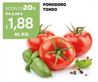 Ekom Pomodoro tondo offerta