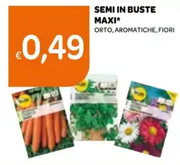 Ekom Semi in buste maxi offerta