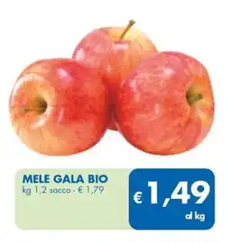 MD Discount Mele gala bio offerta