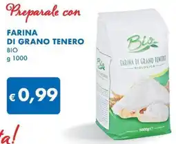 MD Discount Farina di grano tenero BIO offerta