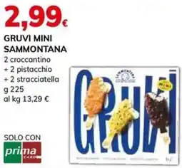 Basko Gruvi mini SAMMONTANA offerta