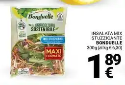 Supermercati Gulliver Insalata mix stuzzicante BONDUELLE offerta