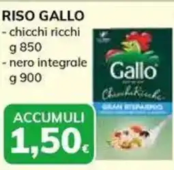 Basko Riso GALLO offerta