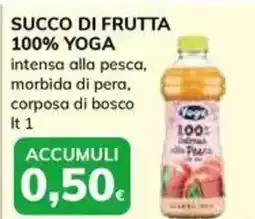 Basko Succo di frutta 100% YOGA offerta