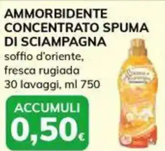 Basko Ammorbidente concentrato SPUMA DI SCIAMPAGNA offerta