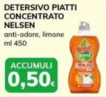 Basko Detersivo piatti concentrato NELSEN offerta