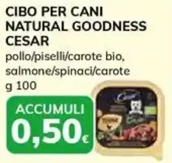 Basko Cibo per cani natural goodness CESAR offerta