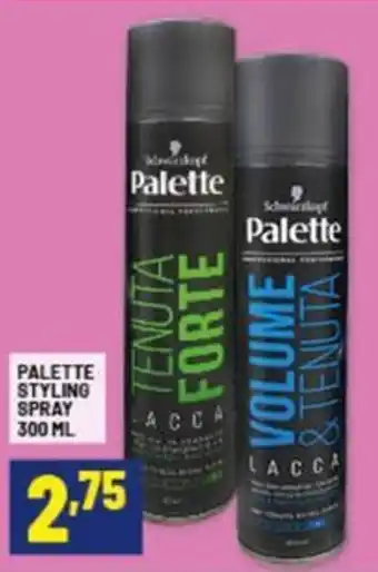 Risparmio Casa PALETTE Styling spray offerta