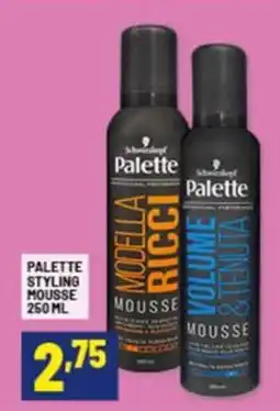 Risparmio Casa PALETTE Styling mousse offerta