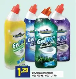 Risparmio Casa WC-disincrostante -gel offerta