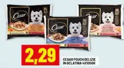 Risparmio Casa Cesar pouch delizie in gelatina offerta