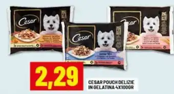 Risparmio Casa Cesar pouch delizie in gelatina offerta