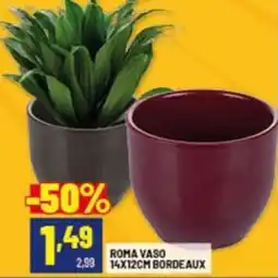 Risparmio Casa Roma vaso offerta