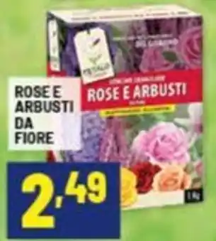 Risparmio Casa Rose e arbusti da fiore offerta