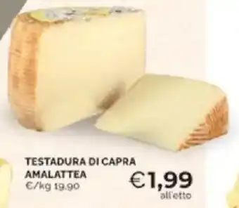 Mercatò Testadura di capra AMALATTEA offerta