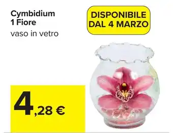 Carrefour Cymbidium 1 Fiore offerta