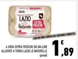 Conad 6 uova extra fresche da galline allevate a terra lazio le naturelle offerta