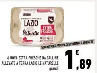 Conad 6 uova extra fresche da galline allevate a terra lazio le naturelle offerta