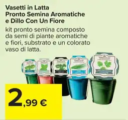 Carrefour Vasetti in Latta Pronto Semina Aromatiche e Dillo Con Un Fiore offerta