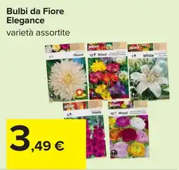 Carrefour Bulbi da Fiore Elegance offerta