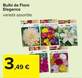 Carrefour Bulbi da Fiore Elegance offerta