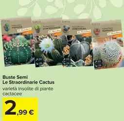 Carrefour Buste Semi Le Straordinarie Cactus offerta