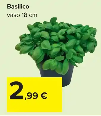 Carrefour Basilico offerta