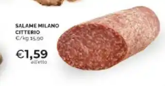 Mercatò Salame milano citterio offerta