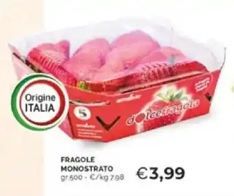 Mercatò Fragole monostrato offerta