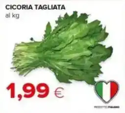 Tigre Cicoria tagliata offerta