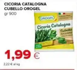 Tigre Cicoria catalogna cubello OROGEL offerta