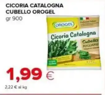 Tigre Cicoria catalogna cubello OROGEL offerta