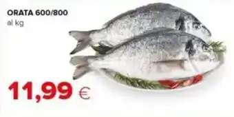 Tigre Orata 600/800 offerta