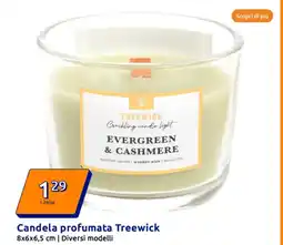 Action Candela profumata Treewick offerta