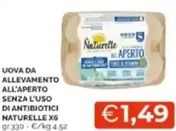 Mercatò Uova da allevamento all'aperto senza l'uso di antibiotici naturelle offerta