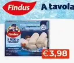 Mercatò Findus 5 fiors nasello offerta