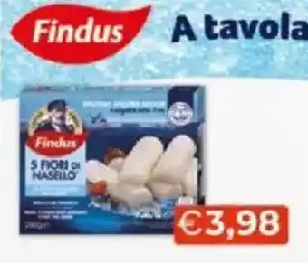 Mercatò Findus 5 fiors nasello offerta