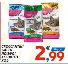 Vivo Supermercati Croccantini gatto NOI&VOI assortiti offerta