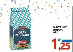 Vivo Supermercati Farina "00" spadoni offerta