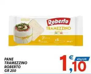 Vivo Supermercati Pane tramezzino ROBERTO offerta