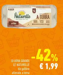 Conad 10 uova grandi LE NATURELLE offerta