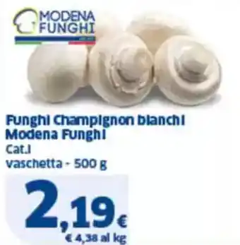 Sigma Funghi champignon blanchi modena funghi cat.j vaschetta offerta