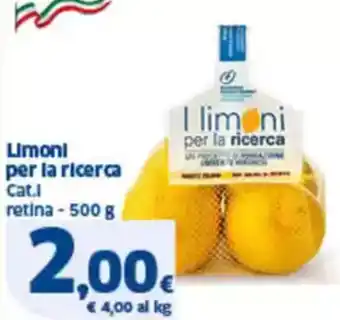 Sigma Limoni per la ricerca cat.l retina offerta