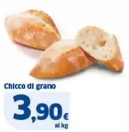 Sigma Chicco di grano offerta