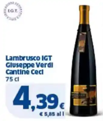 Sigma Lambrusco igt gluseppe verdi cantine cecl offerta