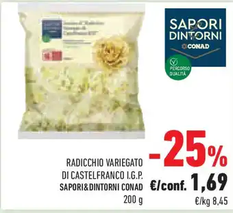 Conad Radicchio variegato di castelfranco i.g.p. SAPORI & DINTORNI CONAD offerta