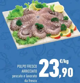 Conad Polpo fresco arricciato offerta