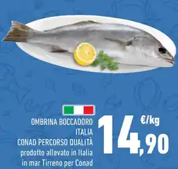 Conad Ombrina boccadoro italia conad percorso qualità offerta