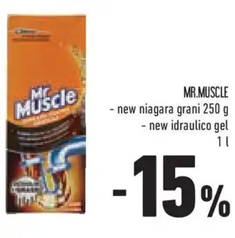 Conad Mr.muscle -new niagara grani - new idraulico gel offerta